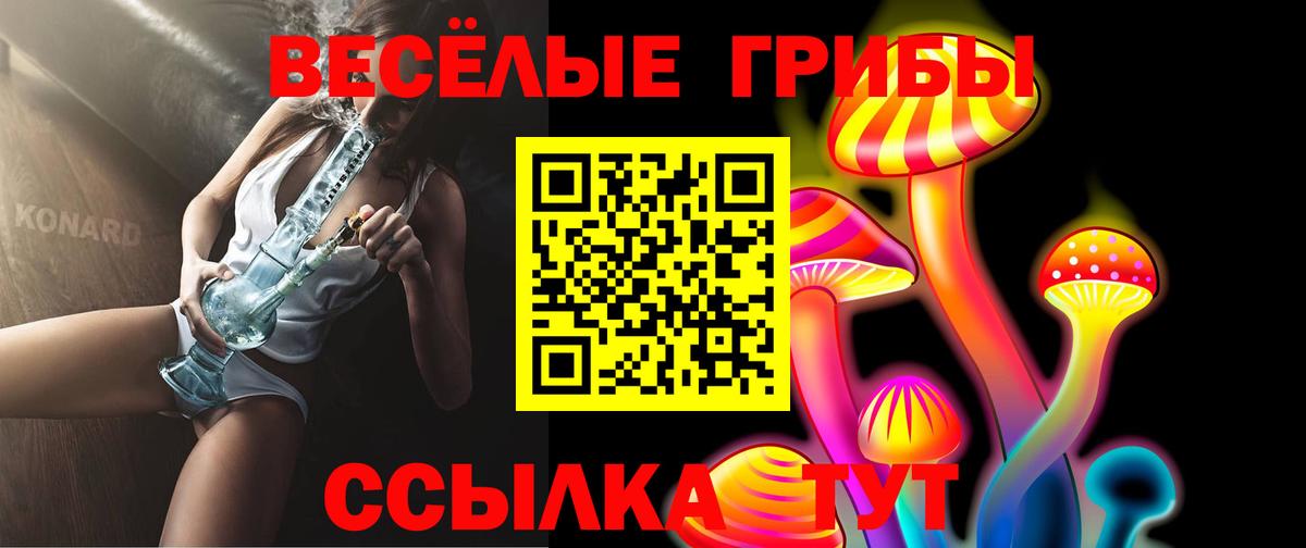 Галлюциногенные грибы мицелий  Псилоцибиновые грибы Psilocybe  Топки  Вход с VPN 